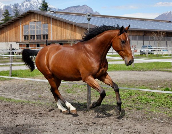 Mandro loves Progressive Earth Supplements