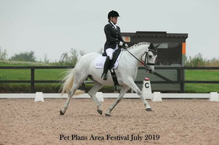 Dramatic improvement in dressage horse’s performance since feeding Pro G.I.