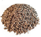 Agnus_Castus_Whole