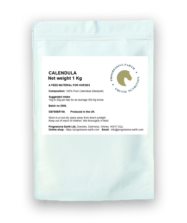 Calendula Flowers | Natural Skin, Digestive & Circulatory Herb for Horses | Marigold