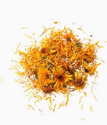 Calendula flowers on a white background