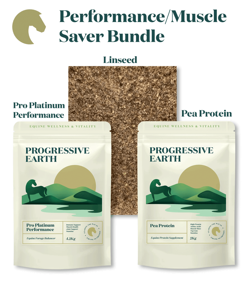 Horse Performance & Muscle Supplement Bundle | Pro Platinum, Protein & Linseed