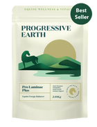 Pro Laminae Plus | Advanced Horse Balancer for Metabolic & Laminae Support