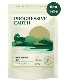 Pro Laminae Plus | Advanced Horse Balancer for Metabolic & Laminae Support