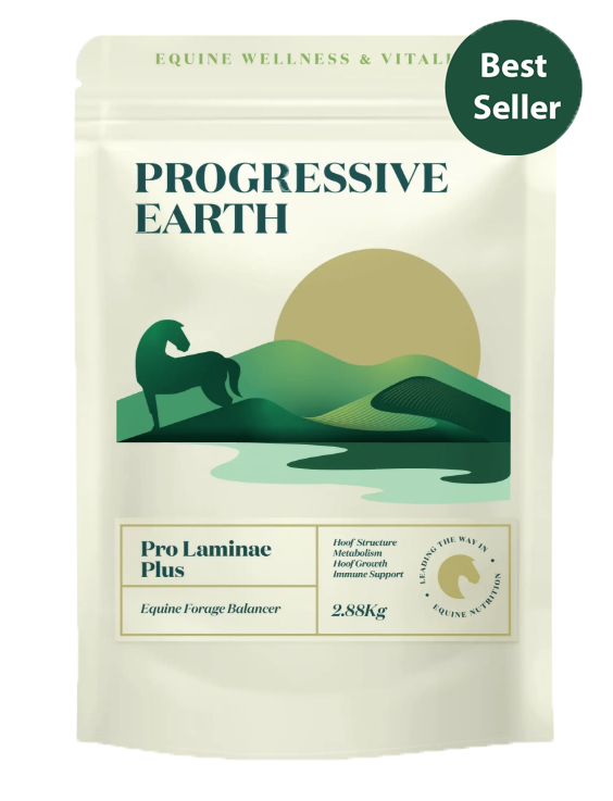 Pro Laminae Plus | Advanced Horse Balancer for Metabolic & Laminae Support
