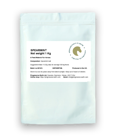 Spearmint (Mentha Spicata) | Natural Digestive Herb for Horses | Appetite & Digestive Support