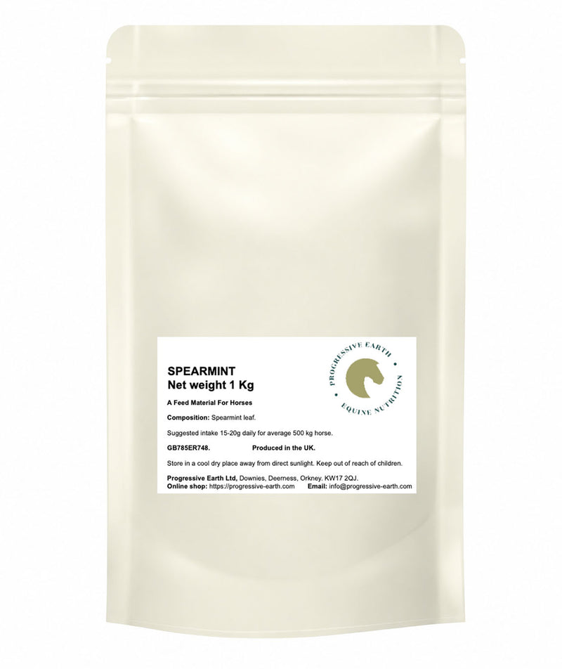 Spearmint (Mentha Spicata) | Natural Digestive Herb for Horses | Appetite & Digestive Support