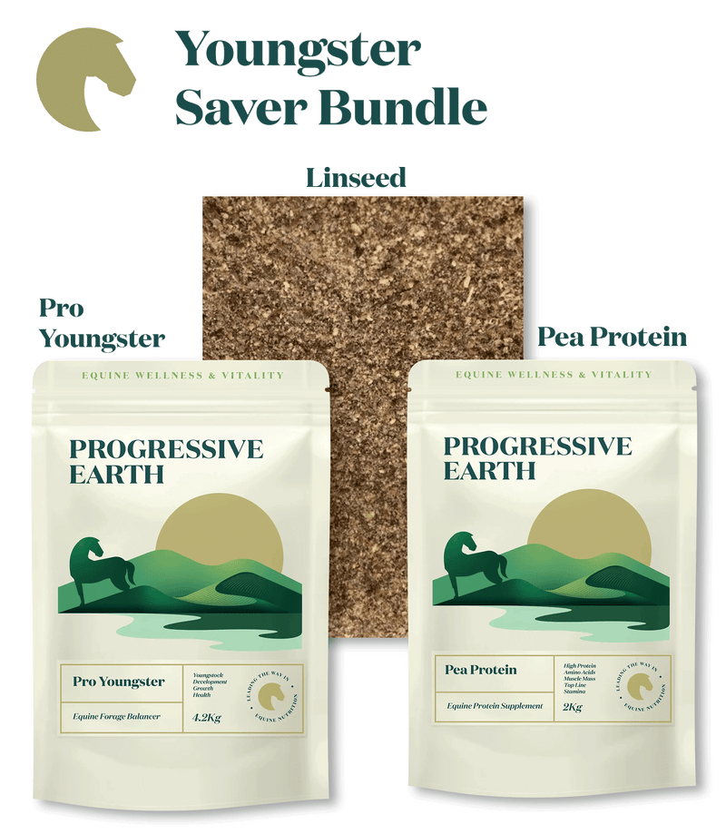 Youngster Supplement Bundle | Pro Youngster, Protein & Linseed