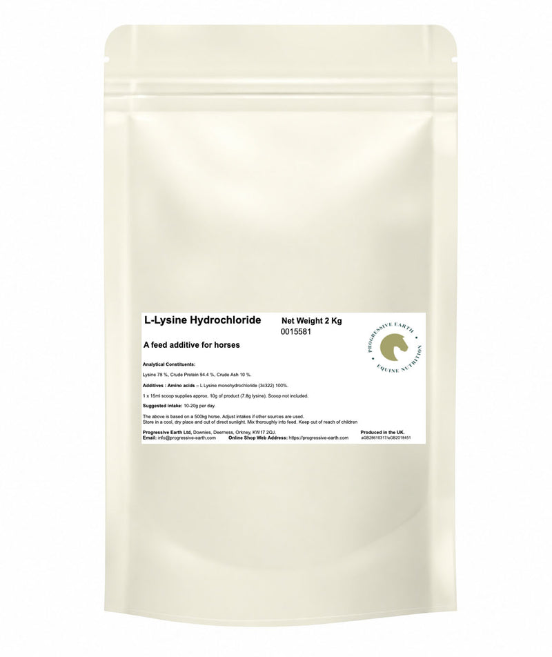 L-Lysine Hydrochloride | Essential Amino Acid Supplement for Horses | Muscle, Topline & Hoof Support