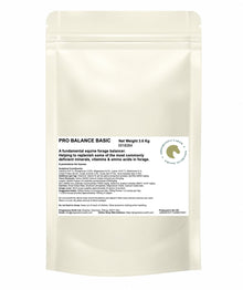 Pro Balance Basic | Foundation Horse Supplement for Everyday Nutrition