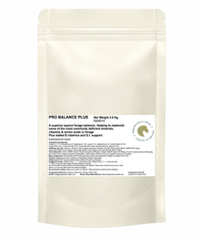 Pro Balance Plus | Advanced Everyday Horse Balancer with B Vitamins & Gut Support